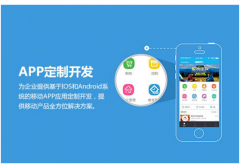 APP���������˽�Ŀ���